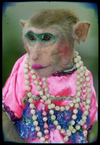monkey_makeup